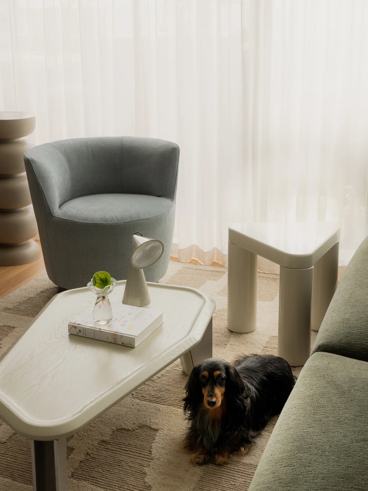 Living room with a gray armchair, coffee table, and a dog sitting on the floor.